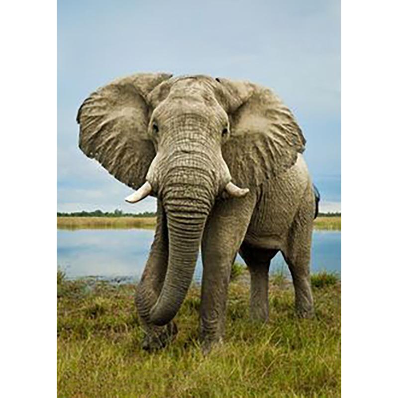 DIY Elephant 5D Diamond Painting Full Round Drill Diamond Embroidery Animals Mosaic Rhinestone Kits Wall Art Home Decor Gift