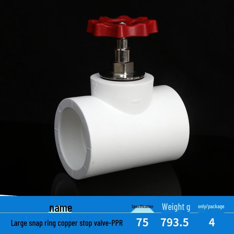 Home PPR Stop Valve for Hot & Cold Water - All Copper Core