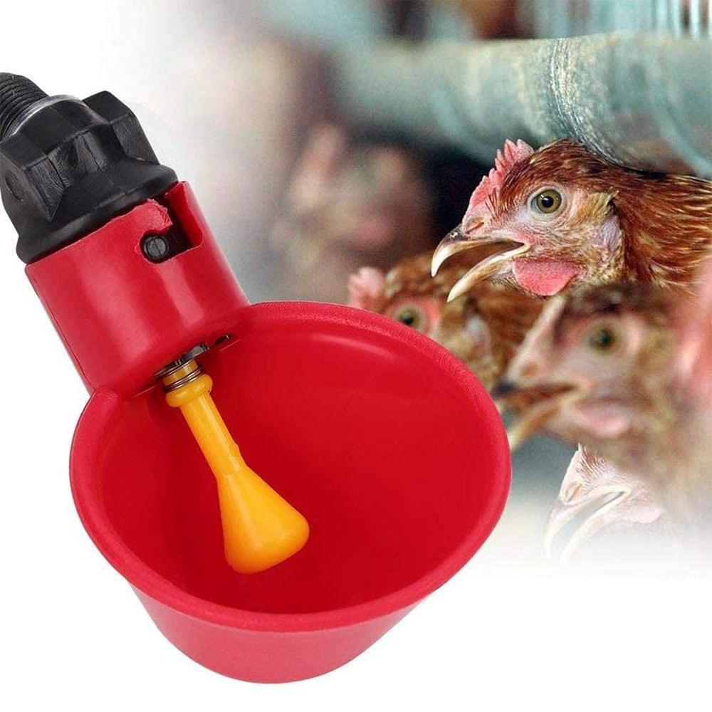 10/20/30pcs Chicken Water Dispenser Leak Proof Automatic Drinking Water Feeding Bowl for Chickens Quails Birds Breeding Supplies