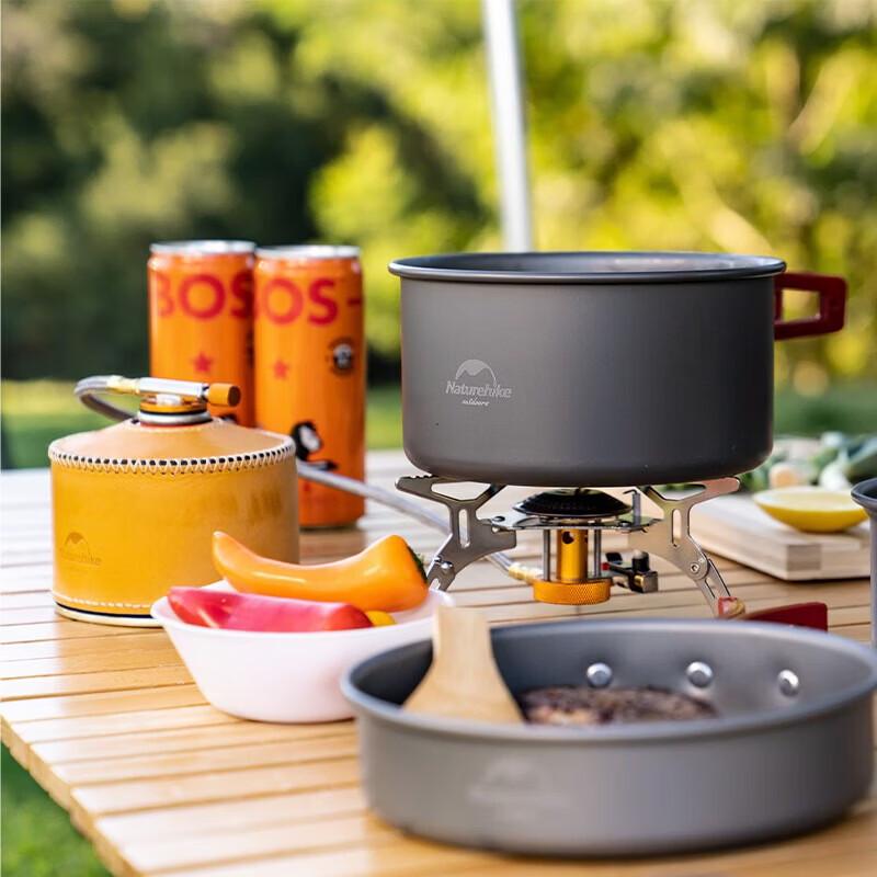 Naturehike Foldable Camping Gas Stove