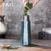 TAIC Master Series Pure Titanium Insulated Bottle