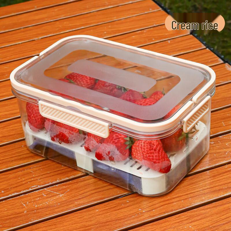 

Portable Drainer Food Storage Boxes