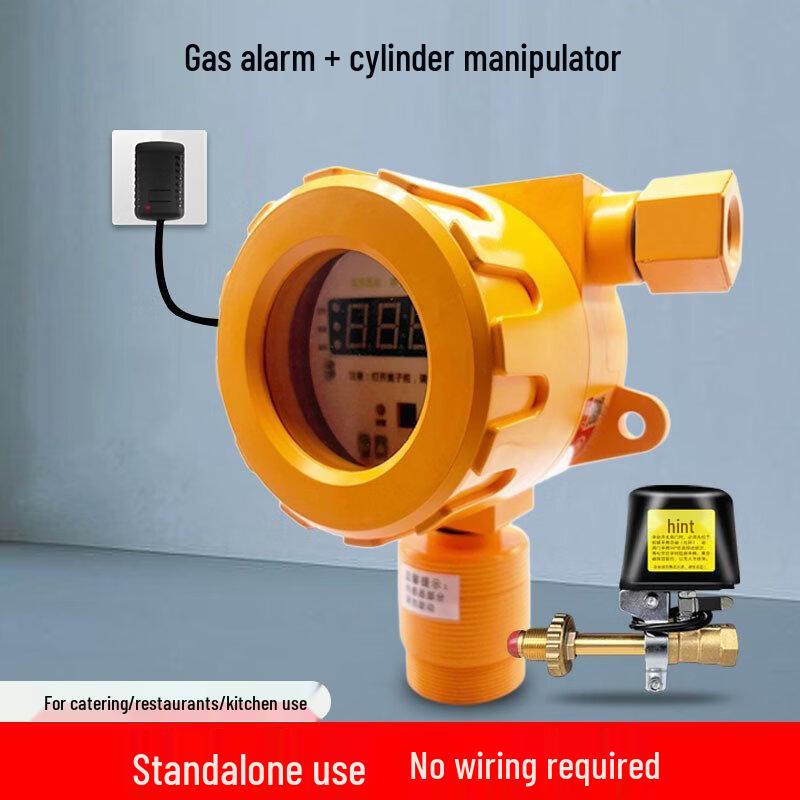 Lieve 220V Combustible Gas Detector