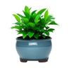 Ceramic Garden Planter Pots Ceramic Plant Pots with Drainage Holes for Indoor Flowers Cactus Herbs Aloes