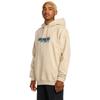 Volcom Толстовка с капюшоном VSC Tripper