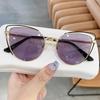 Retro Cat-Eye Sunglasses - 2024 Korean Style for Women, Trendy Personality Street Fashion Accessories