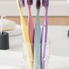 Domestic Flyto The Classic Two-Tone Toothbrush Slim Bristles 1P