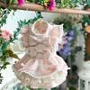 Spring/Summer Thin Butterfly Princess Dress for Small Dogs - Comfortable Pet Apparel.