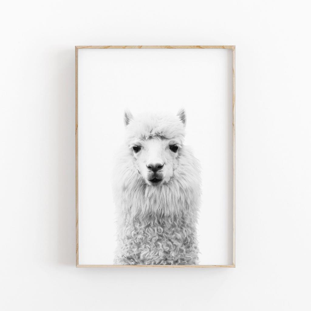 Modern Minimalist Animals Wall Art Cute Alpaca Furry Llama Poster Canvas Painting LIving Room Home Decoration Gift Idea