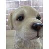 Toyo Sekiso Dog Ornament (Labrador Retriever) 14060 W120×H165×D130mm