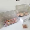 Transparent Dustproof Makeup Brush Storage Box with Lid - Large Capacity Vanity Organizer