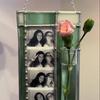 Propagation Frame Hanging Plant Propagation Frame with Glass Tube Resin 8x4 Picture Frames for 2x6 Photo Strip Hydroponic Plant Holder for Window Wall