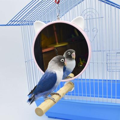 Kuş – Kuşlar için oyuncaklar