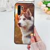 Animal Husky puppy Case For Huawei Nova 11i 8i 7i 3i Y70 Y90 Y60 Y61 5T 9 10 SE P Smart Z P30 P40 Lite P60 Pro