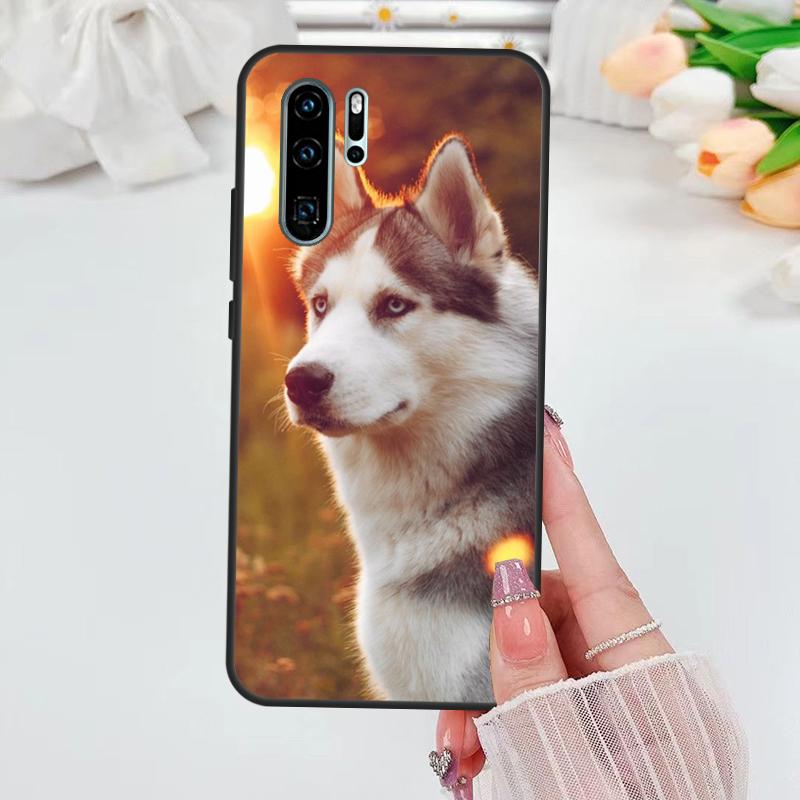 Animal Husky puppy Case For Huawei Nova 11i 8i 7i 3i Y70 Y90 Y60 Y61 5T 9 10 SE P Smart Z P30 P40 Lite P60 Pro