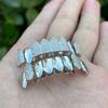 RACHELZ Fashion Glossy 8/8 Zircon Teeth Grillz Fangs Hip Hop CZ Stone Tooth Caps For Women Men Jewelry Halloween Gift