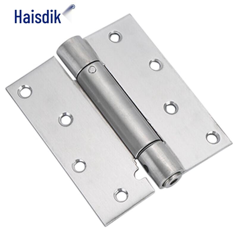 Haisidick Stainless Steel Invisible Door Hinge with Automatic Closer