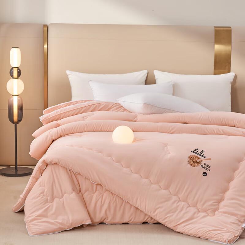 PAUI DAVID Lyocell Two-in-One All-Season Comforter