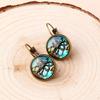 Ocean Animal Resin Earrings With Gold Plating For Women Birthdays And Holidays