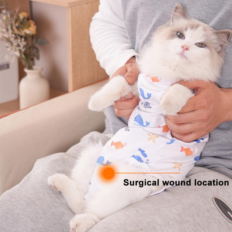 Katten Ontwenningspak Huisdierverzorgingskleding Kleine Honden Kat Sterilisatie Jumpsuit Anti-likken Operatie Herstelkleding Kitten Outfits