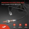 A-Premium O2 Oxygen Sensor Jaguar XJ8 1999-2003 XJR 1999-2003 XK8 1999-2002 XKR 2000-2002 Vanden
