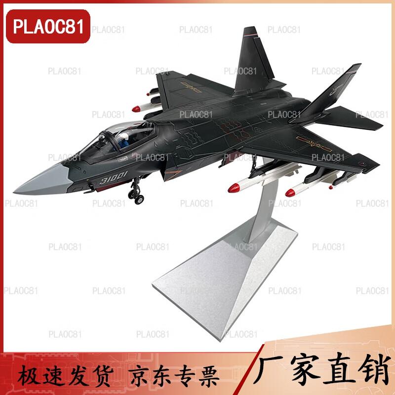 J-31 Fighter Jet Model 1:48 Scale