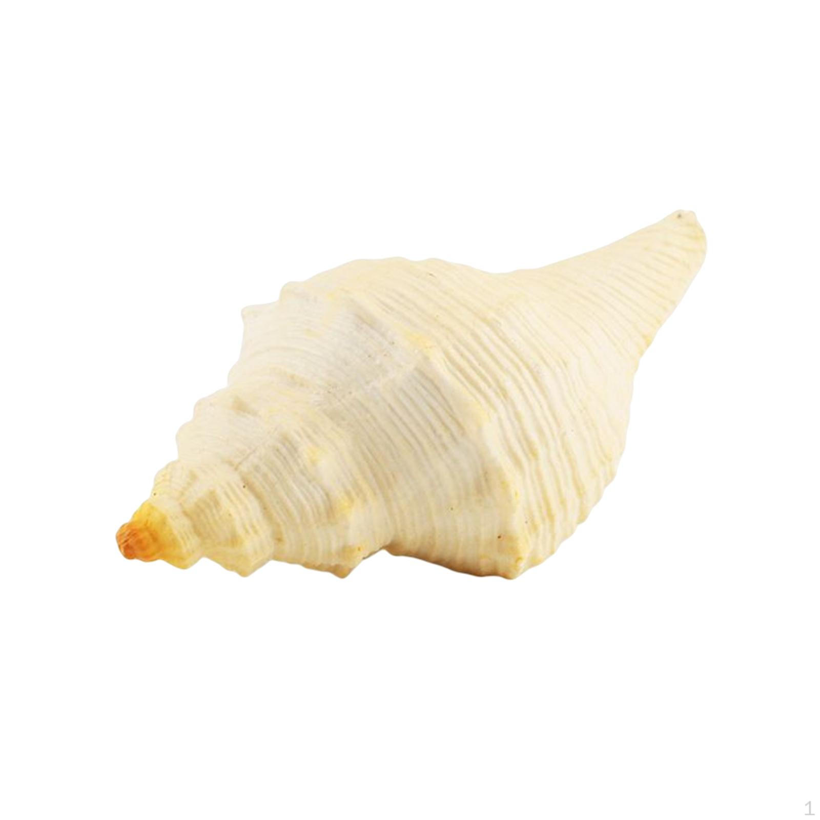 Lifelike Marine Animal Model ,Aquatic Creatures ,Miniature Toy ,Vivid Shape Educational snail