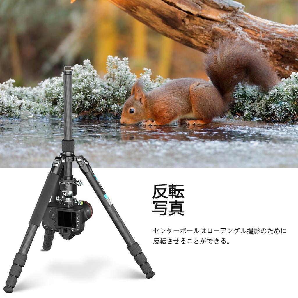 WEYLLAN Carbon Fiber Travel Compact Panoramic and Maximum 20kg Weight Monopod Carbon Fiber for Cherry Blossom and Stargazing Camera Stand FX6+RH44