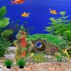Aquarium Decor House Cave Hole Shelter, Accessories for Betta,Creative,Fish Tank Hut
