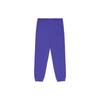 Vans Knitted Sweatpants Unisex Periwinkle Purple Moderate Cuffed Pants VN000912BT2