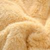 Infant Children's Suit Autumn and Winter Models Plush Suit Plush Boys and Girls Hooded Suit Two-piece Casual Sets Home Service