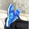 Nike Dunk Low Pro SB Fruity Pack - Blue Raspberry DM0807-400