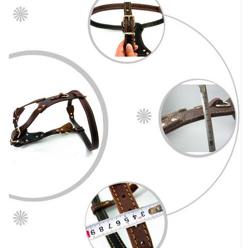 Pet Products Genuine Leather Dog Vest Harness For Medium Large Dog Pets Professional Dog Vest Collar Hand Chest Straps