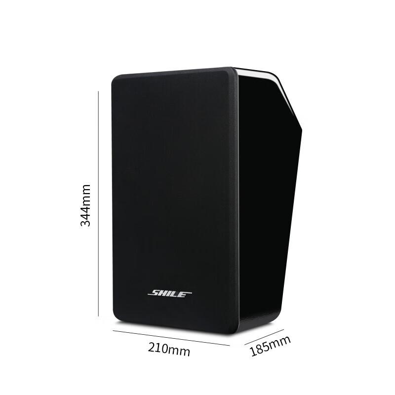 Shile AV-8820/BG-6 Commercial Speaker Pair