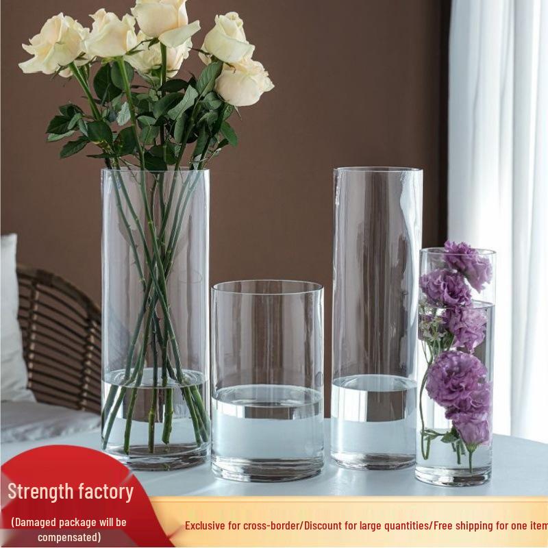 Elegant Transparent Glass Vase for Home Décor – Large Straight Tube Design for Floral Arrangements