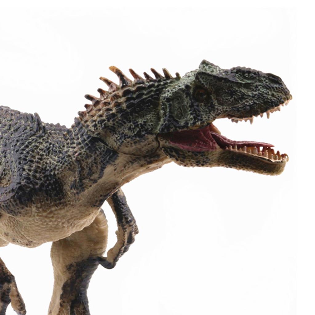 Simulation Allosaurus Lifelike Dinosaur Model Toy Home Decor Educational y0