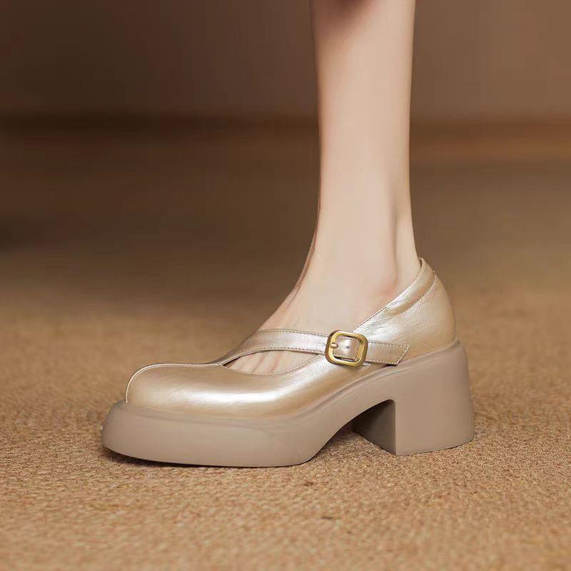 Platform Small Leather Shoes Women's Thick Heel Mary Jane Shoes High Heel Light Mouth Single Shoes