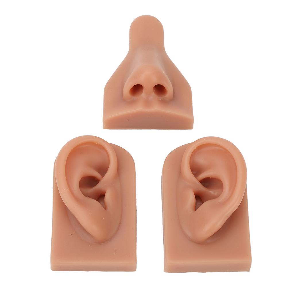 Silicone Nose Ear Model 3D Simulation Nose Ear Model Set for Piercing Practice Teaching