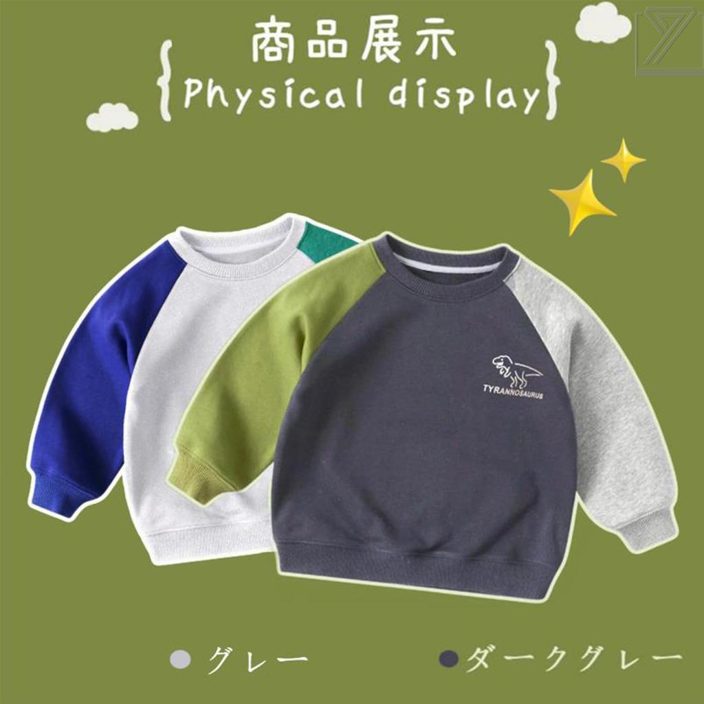Kayiyasu Pullover Crew Dinosaur Sizes Dark Kids' Boys' Hoodie, Neck, Print, Spring/Autumn, School/Kindergarten, 100-150 (100 Gray)