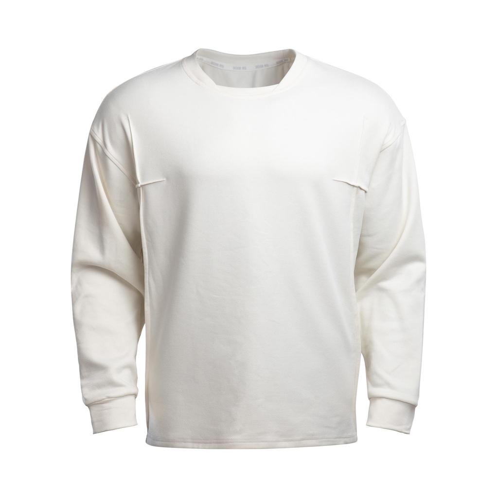 Autumn Men's Long Sleeve T-Shirt, Solid Color, Sporty Casual, Euro-American Style, Crew Neck, Fitness Sweatshirt.