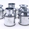 Lifelike Miniature Enthusiasts Hobbyists Dollhouse Miniature Milk Jug Water Bottle With Lid Model Pretend Play Furniture Toy