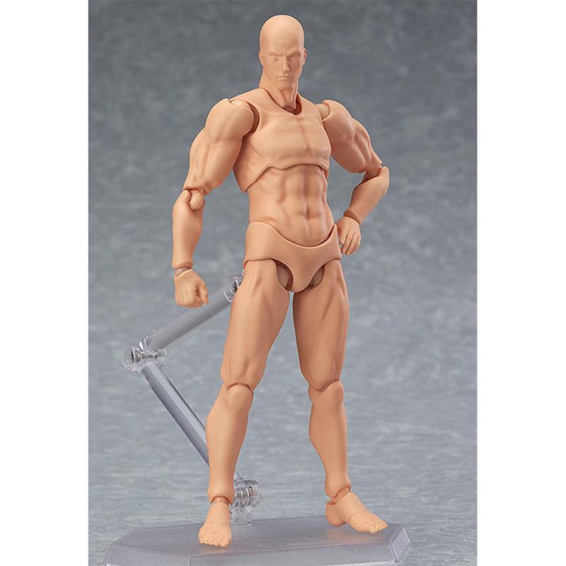 Anime Archetype He She Ferrite Figma Movable Body PVC Action Figure Model Toys Doll for Collectible