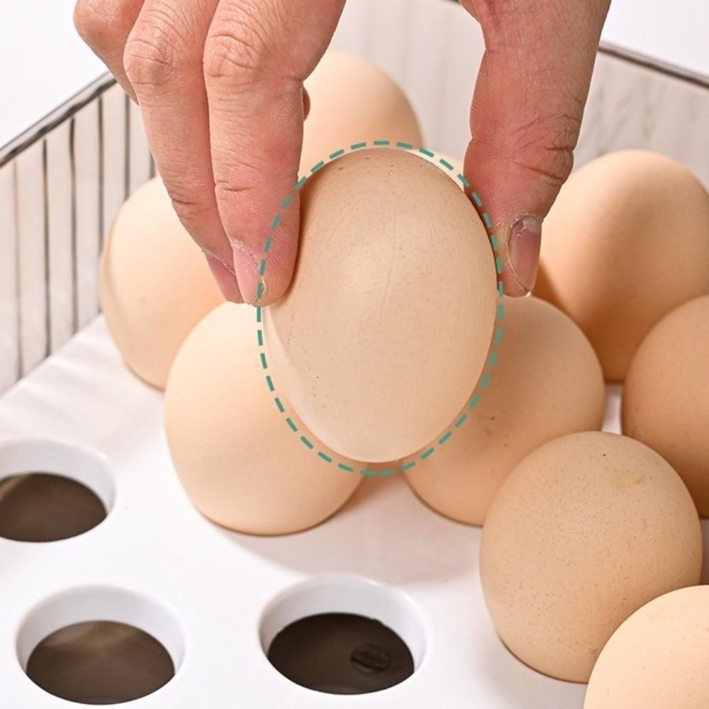Food-Grade Refrigerator Storage Box Stackable Kitchen Organizer Fridge Egg Holder  Picnic