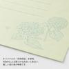 Midori Letter Floral Washi Paper with Paper 86931006 Set, Case, Green,