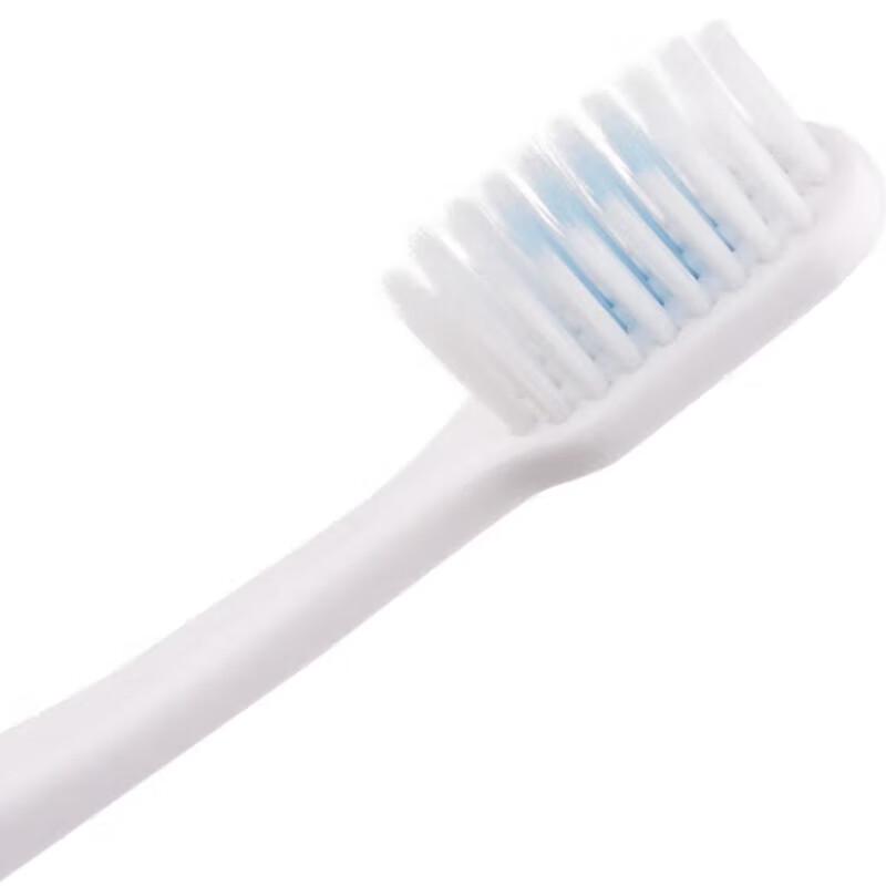 Dr. Dentist DT702 Small Head Toothbrush (8-Pack)