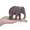 Mojo Asian Elephant Figure 387266