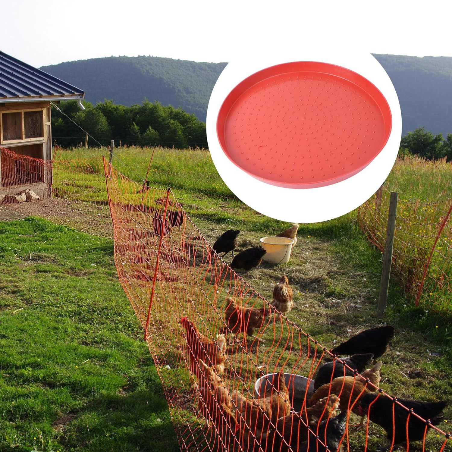 Angoily 2pcs Chick Appetizer Plate Chicken Feeder Plastic Trays Chick Feed Freeze Proof Chicken Waterer Goose Waterer Plastic Hen Feed Tray Fodder