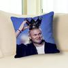 Funny H-Haaland Meme Pillow Case Modern Home Decorative Cozy Plush Pillowcase For Living Room Bedroom Sofa