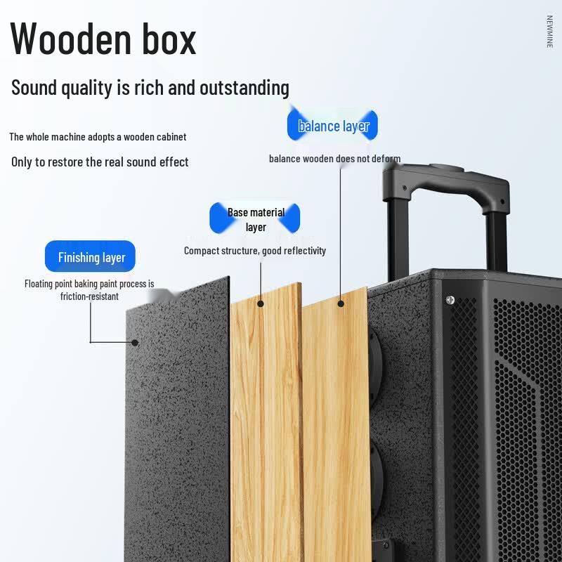 Newmine N527 15-inch High Power Portable Bluetooth KTV Speaker (CN version)