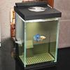Aquário de vidro dedicado para betta, mini aquário de mesa ecológico auto-circulante, aquário de mesa com função de filtro